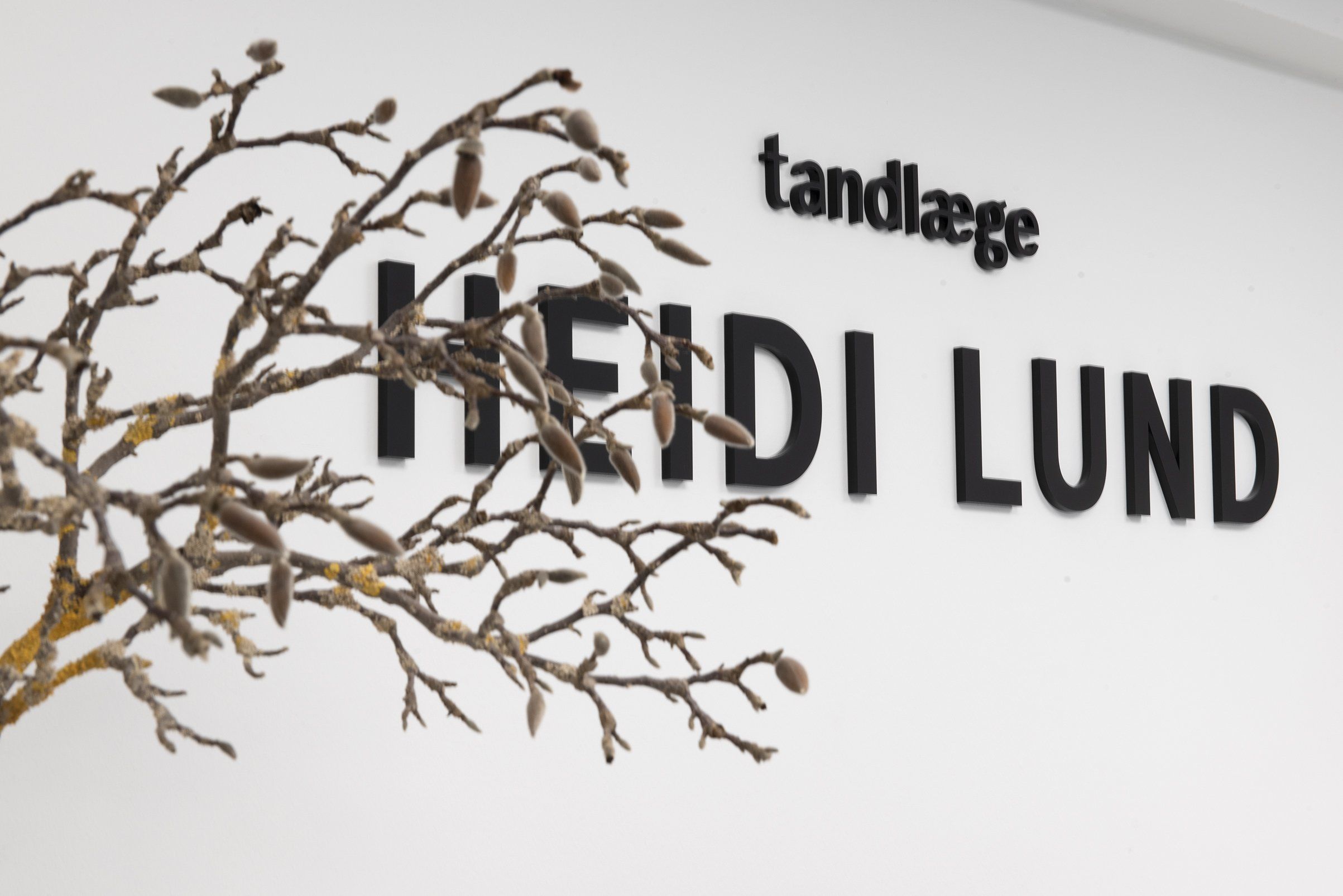 Vi har mange års erfaring med tandfacader hos Tandlæge Heidi Lund